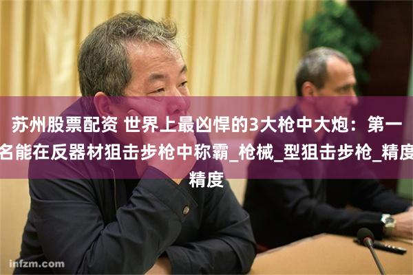 苏州股票配资 世界上最凶悍的3大枪中大炮：第一名能在反器材狙击步枪中称霸_枪械_型狙击步枪_精度