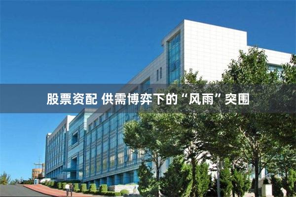 股票资配 供需博弈下的“风雨”突围