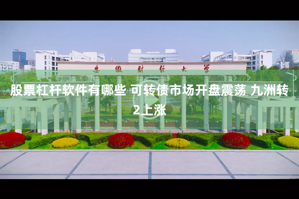 股票杠杆软件有哪些 可转债市场开盘震荡 九洲转2上涨