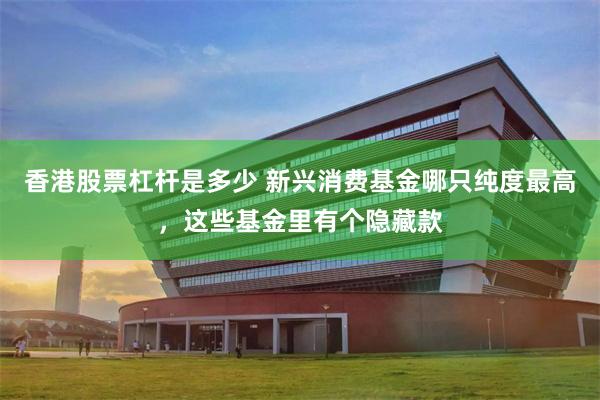 香港股票杠杆是多少 新兴消费基金哪只纯度最高，这些基金里有个隐藏款