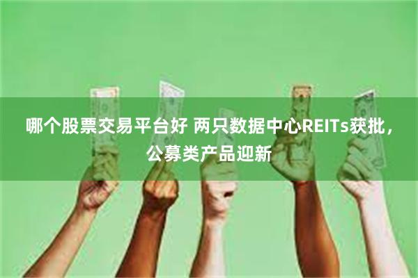哪个股票交易平台好 两只数据中心REITs获批，公募类产品迎新