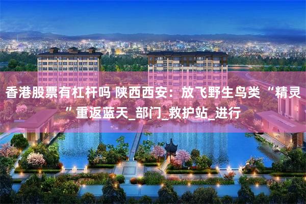 香港股票有杠杆吗 陕西西安：放飞野生鸟类 “精灵”重返蓝天_部门_救护站_进行