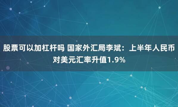 股票可以加杠杆吗 国家外汇局李斌：上半年人民币对美元汇率升值1.9%