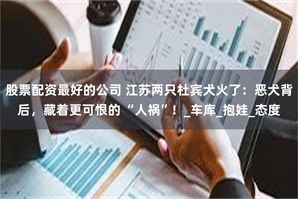 股票配资最好的公司 江苏两只杜宾犬火了：恶犬背后，藏着更可恨的 “人祸”！_车库_抱娃_态度