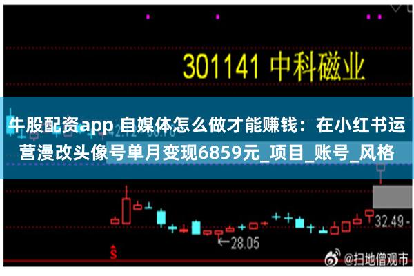牛股配资app 自媒体怎么做才能赚钱：在小红书运营漫改头像号单月变现6859元_项目_账号_风格