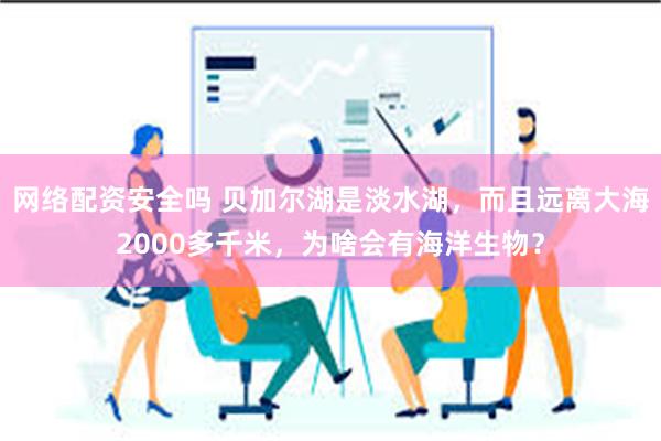 网络配资安全吗 贝加尔湖是淡水湖，而且远离大海2000多千米，为啥会有海洋生物？
